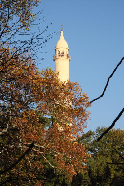 DPP_0058
